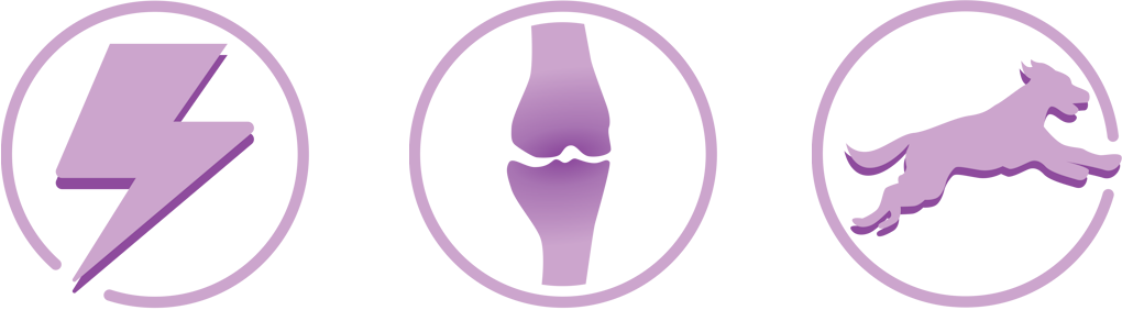 Icons displaying lightning bolt, bones and dog running