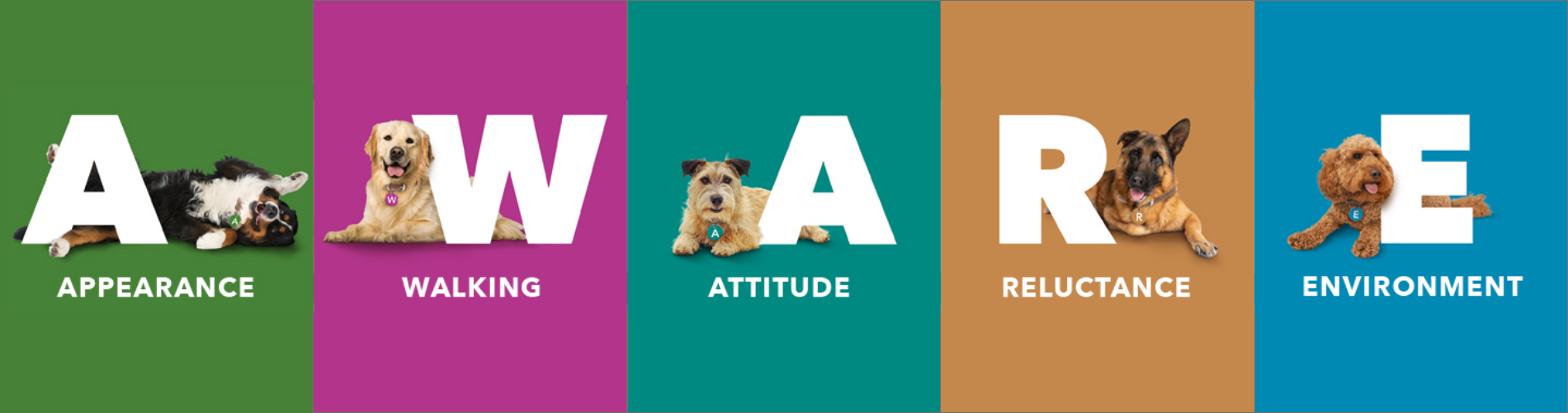 Appearance - walking - appetite - reluctance - environment