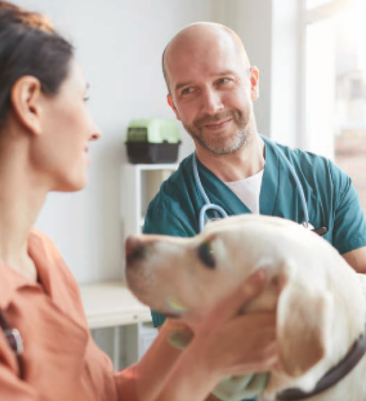 Image of a dog at its owner at the vet office