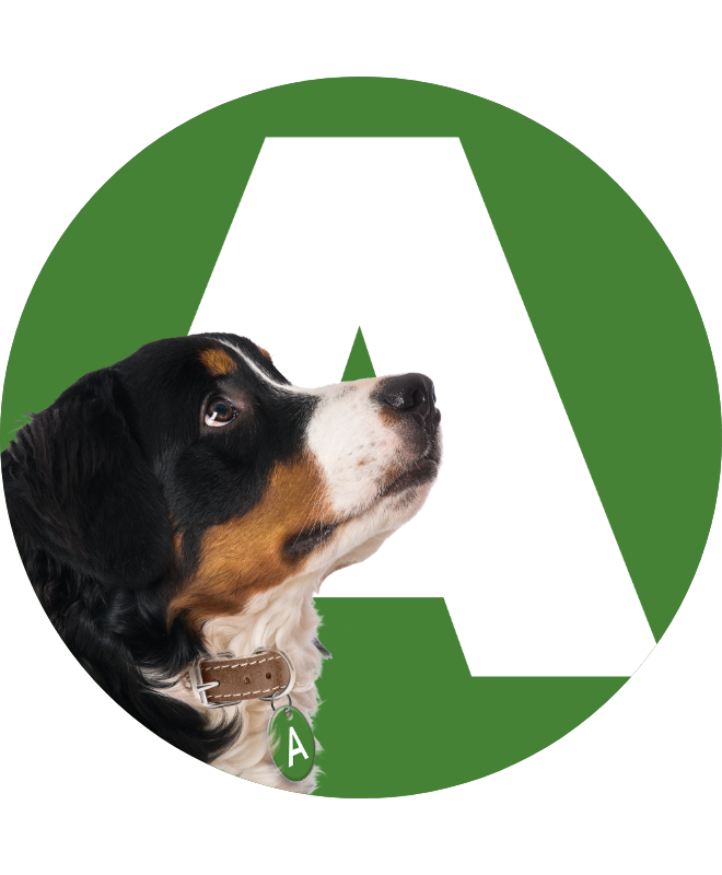 Alfie in front of a large print A