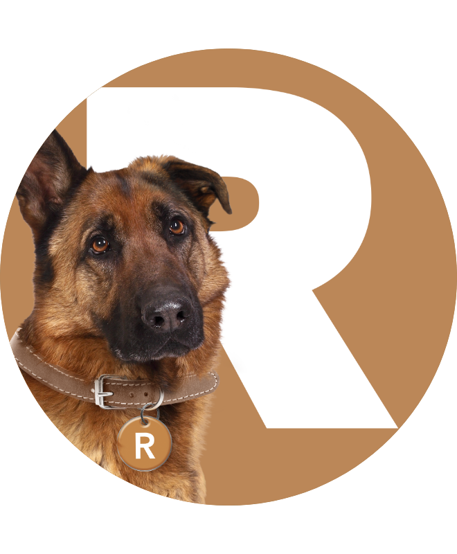 Roxy the dog in front of a print R