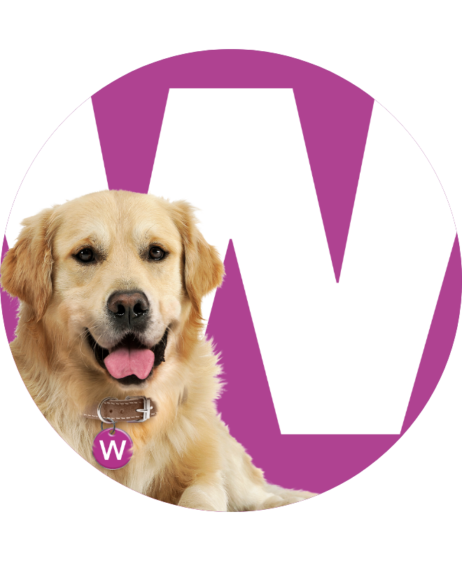 Willow the dog, in front of a print W