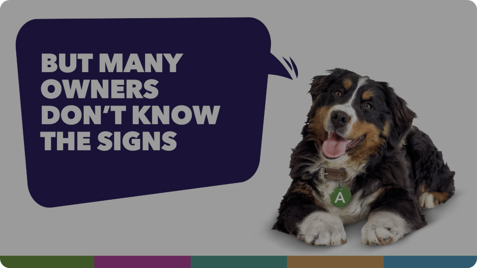 many owners don't know the signs - click to watch